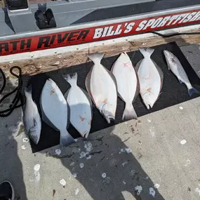 Bild von Bill's Sportsfishing and Guide Service