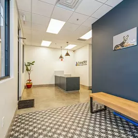 Bild von Coyne Veterinary Center Westfield
