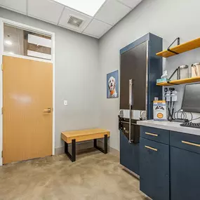 Bild von Coyne Veterinary Center Westfield