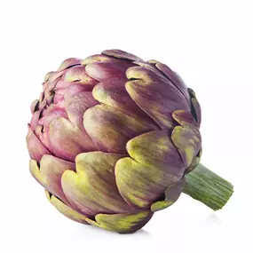 Bild von Les Plants & Paniers de Cérès bio