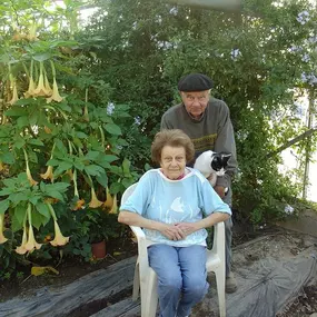 Bild von Les Plants & Paniers de Cérès bio