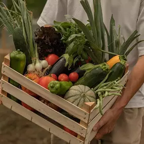 Bild von Les Plants & Paniers de Cérès bio