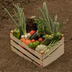 Bild von Les Plants & Paniers de Cérès bio