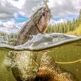 Bild von Kirk Portocarrero - Professional Fishing & Hunting Guide and Outfitter