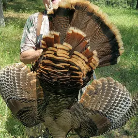 Bild von Kirk Portocarrero - Professional Fishing & Hunting Guide and Outfitter