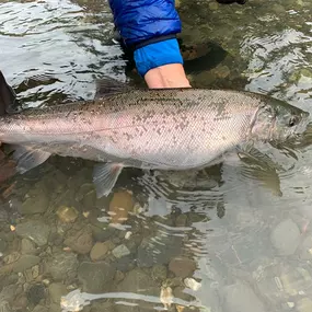 Bild von Kirk Portocarrero - Professional Fishing & Hunting Guide and Outfitter