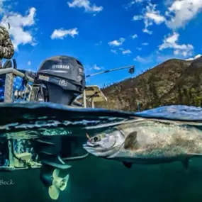 Bild von Kirk Portocarrero - Professional Fishing & Hunting Guide and Outfitter