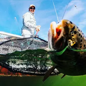 Bild von Kirk Portocarrero - Professional Fishing & Hunting Guide and Outfitter