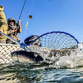 Bild von Kirk Portocarrero - Professional Fishing & Hunting Guide and Outfitter