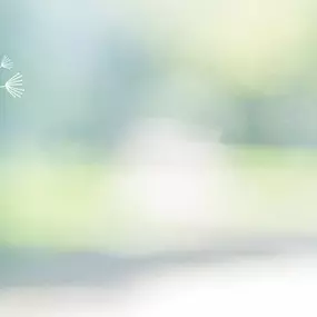 Bild von Dein Sichtwechsel – Neue Wege gehen