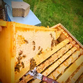 Bild von Saarimkerei Gaul