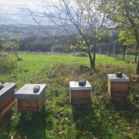 Bild von Saarimkerei Gaul