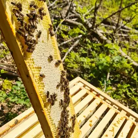 Bild von Saarimkerei Gaul