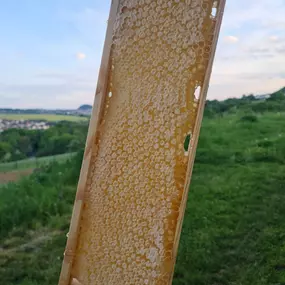 Bild von Saarimkerei Gaul