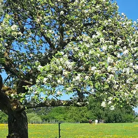 Bild von Saarimkerei Gaul