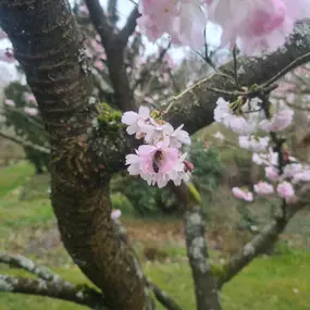 Bild von Saarimkerei Gaul