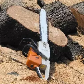 Bild von W F Tree Services