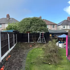 Bild von W F Tree Services