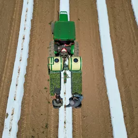 Bild von Wholesale Hemp Farms