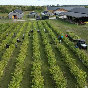 Bild von Wholesale Hemp Farms