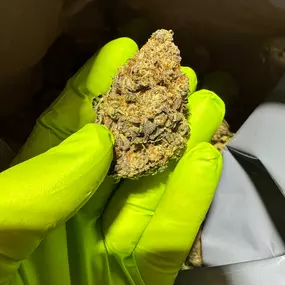 Bild von Wholesale Hemp Farms