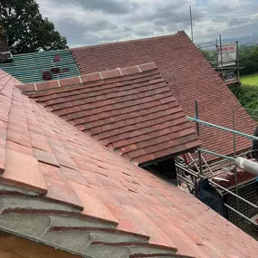 Bild von Rozario Projects Ltd