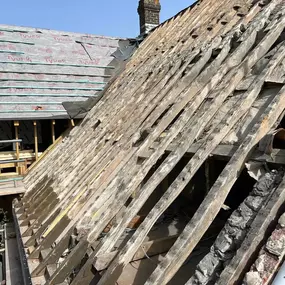 Bild von Rozario Projects Ltd