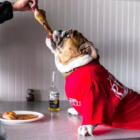 Bulldog in a red Southern Shores Pizza t-shirt reaching for a slice of pizza at a dining table.