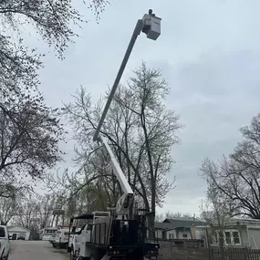 Bild von 33 Tree Service