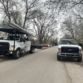 Bild von 33 Tree Service