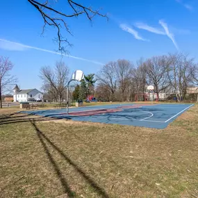 Basketball court