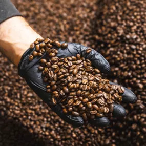 Enjoy small-batch, artisan-roasted coffee made right here in California. Java City coffee is made for everyday rituals and memorable moments.