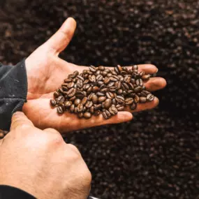 At Java City, we believe better coffee creates better connections. Our craft-roasted, responsibly sourced beans help businesses serve something meaningful, without overcomplicating the process. From first impressions to daily rituals, here’s how upgrading your coffee can quietly—but powerfully—reflect who you are.