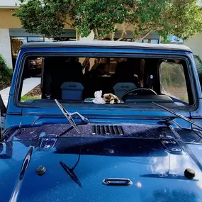 Bild von Skyview Auto Glass Troy