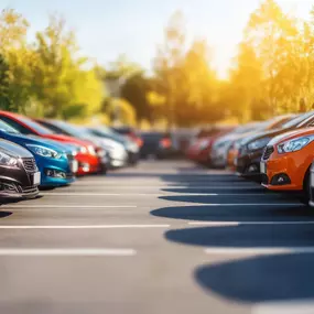 Bild von Black Mobility Van & Car Rentals