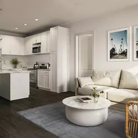 Living room and kitchen