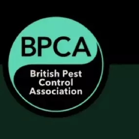 Bild von CLEAR-A-PEST Pest Control Ltd