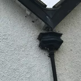 Bild von CLEAR-A-PEST Pest Control Ltd