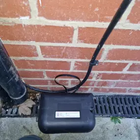 Bild von CLEAR-A-PEST Pest Control Ltd