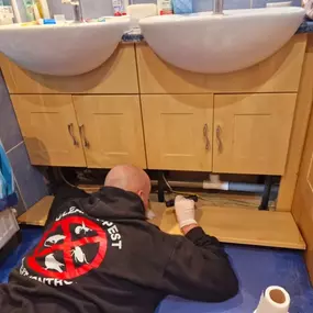 Bild von CLEAR-A-PEST Pest Control Ltd