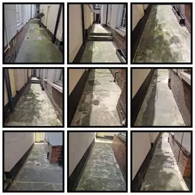 Bild von CLEAR-A-PEST Pest Control Ltd