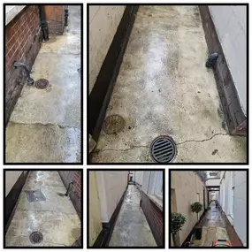 Bild von CLEAR-A-PEST Pest Control Ltd