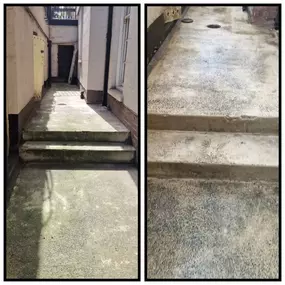 Bild von CLEAR-A-PEST Pest Control Ltd