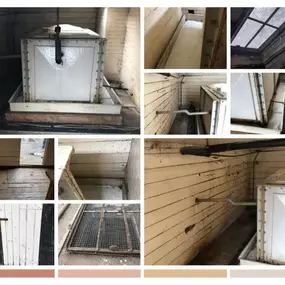 Bild von CLEAR-A-PEST Pest Control Ltd