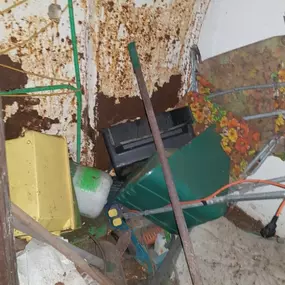 Bild von CLEAR-A-PEST Pest Control Ltd