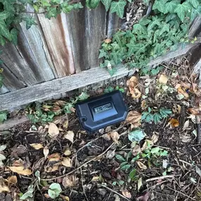 Bild von CLEAR-A-PEST Pest Control Ltd