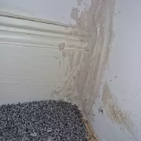 Bild von CLEAR-A-PEST Pest Control Ltd