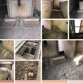 Bild von CLEAR-A-PEST Pest Control Ltd