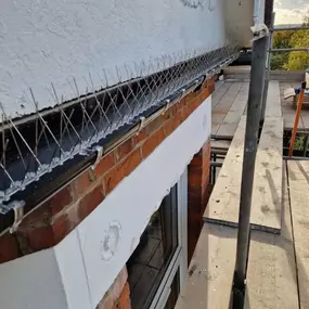 Bild von CLEAR-A-PEST Pest Control Ltd