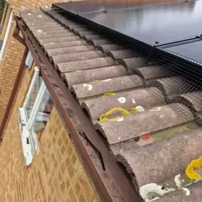 Bild von CLEAR-A-PEST Pest Control Ltd